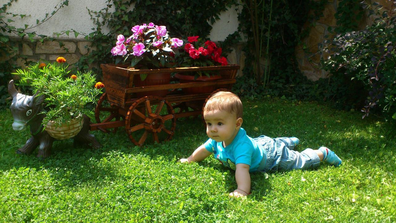 Yagodina Family Hotel מראה חיצוני תמונה