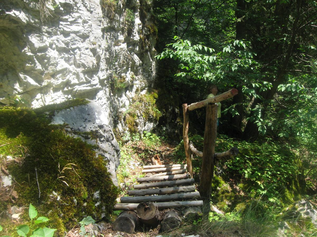 Yagodina Family Hotel מראה חיצוני תמונה