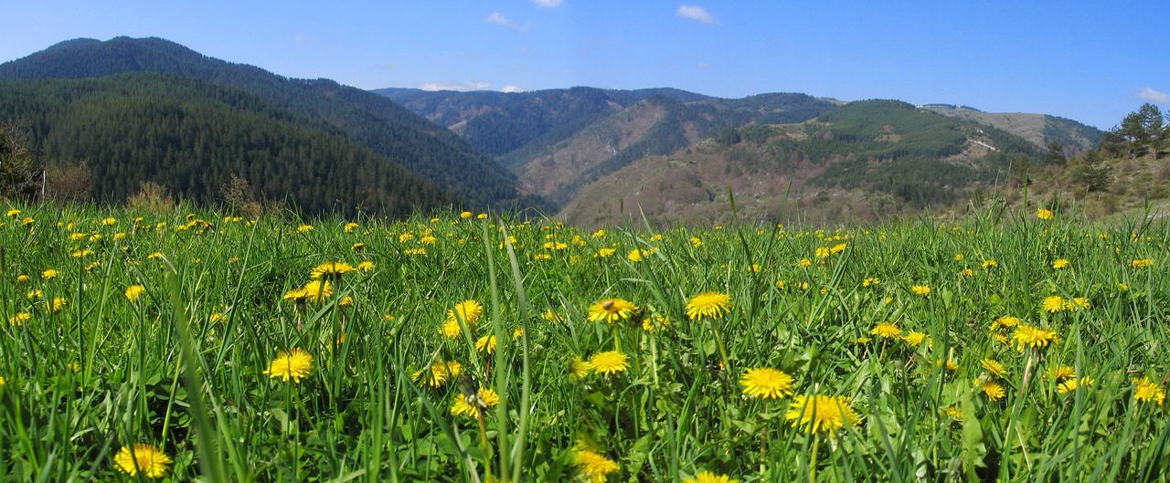Yagodina Family Hotel מראה חיצוני תמונה